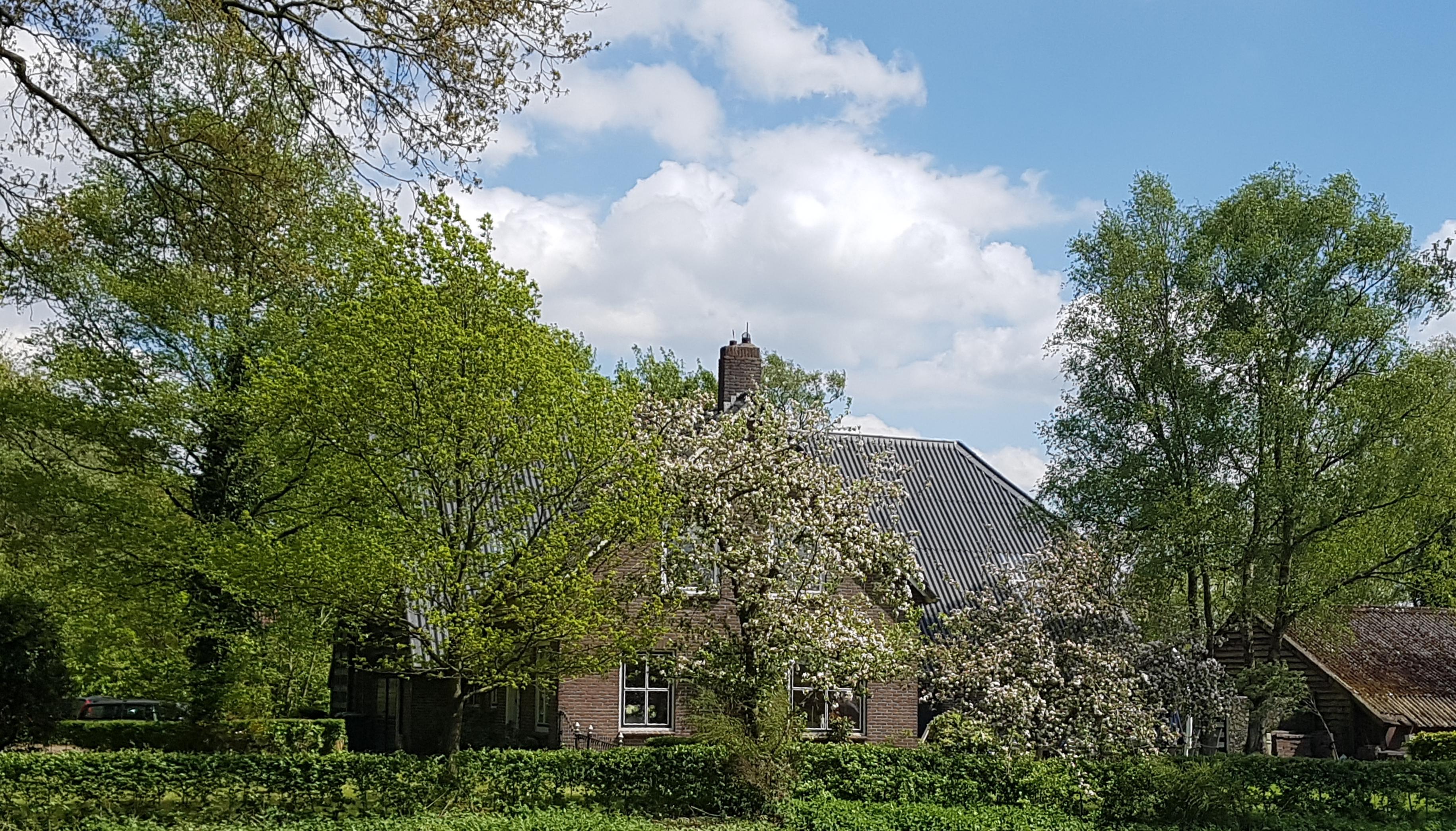 Maison nature à Hooghalen