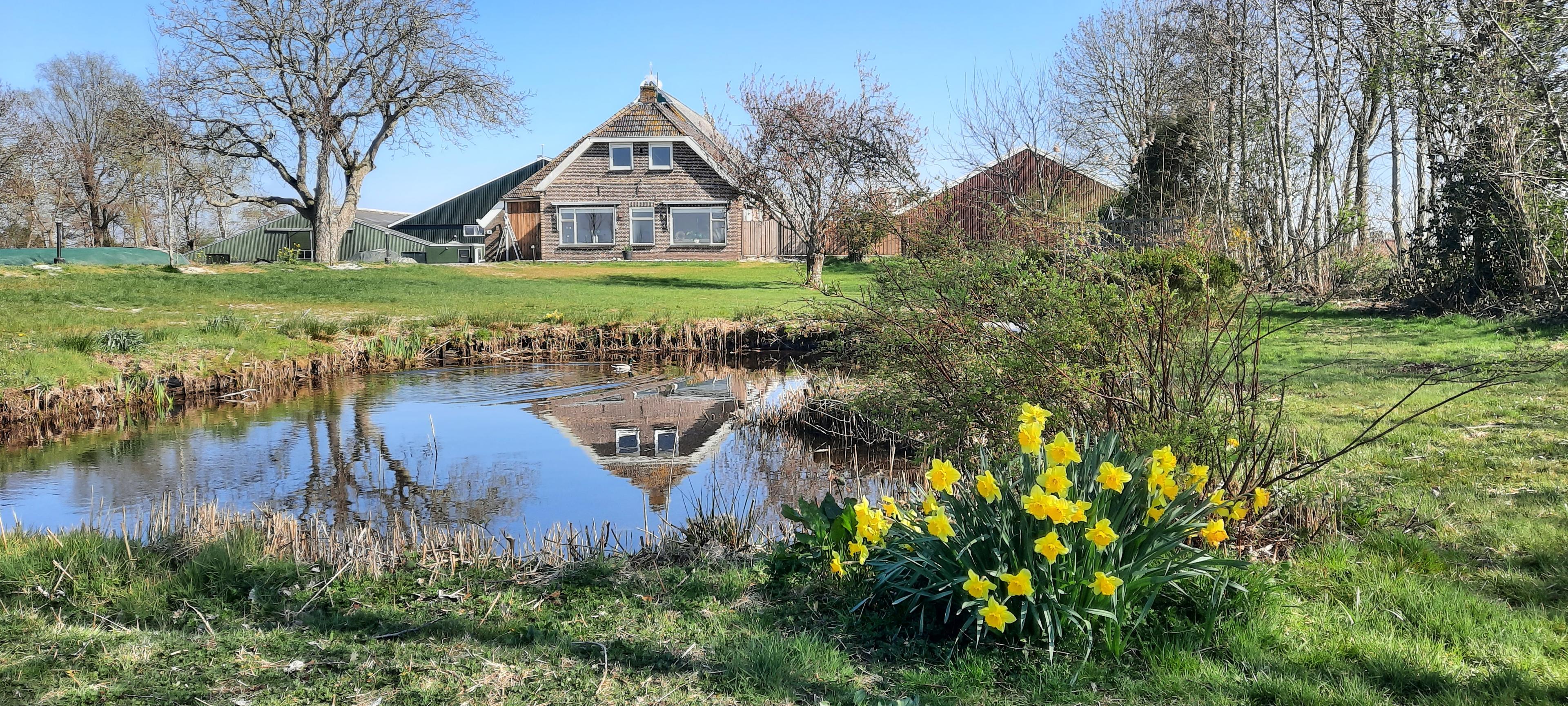Nature house in Oldelamer
