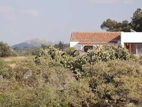 Natuurhuisje in Castelo de Vide