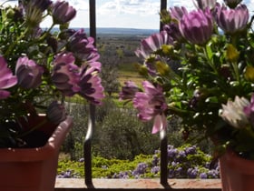 Nature house in Viterbo