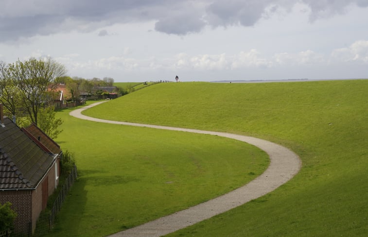 Natuurhuisje in Moddergat