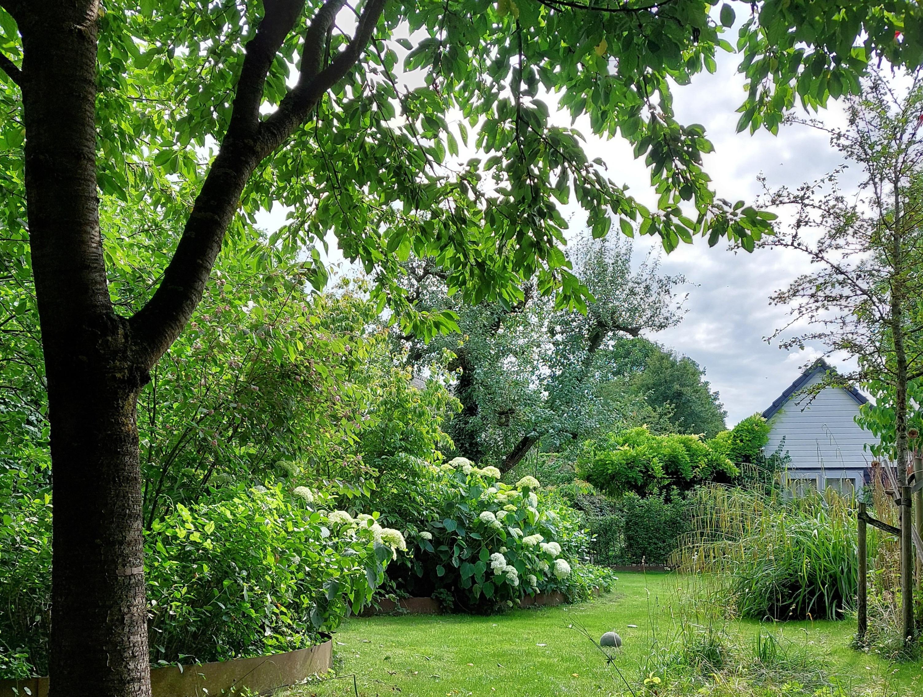 Natuurhuisje in Herwen