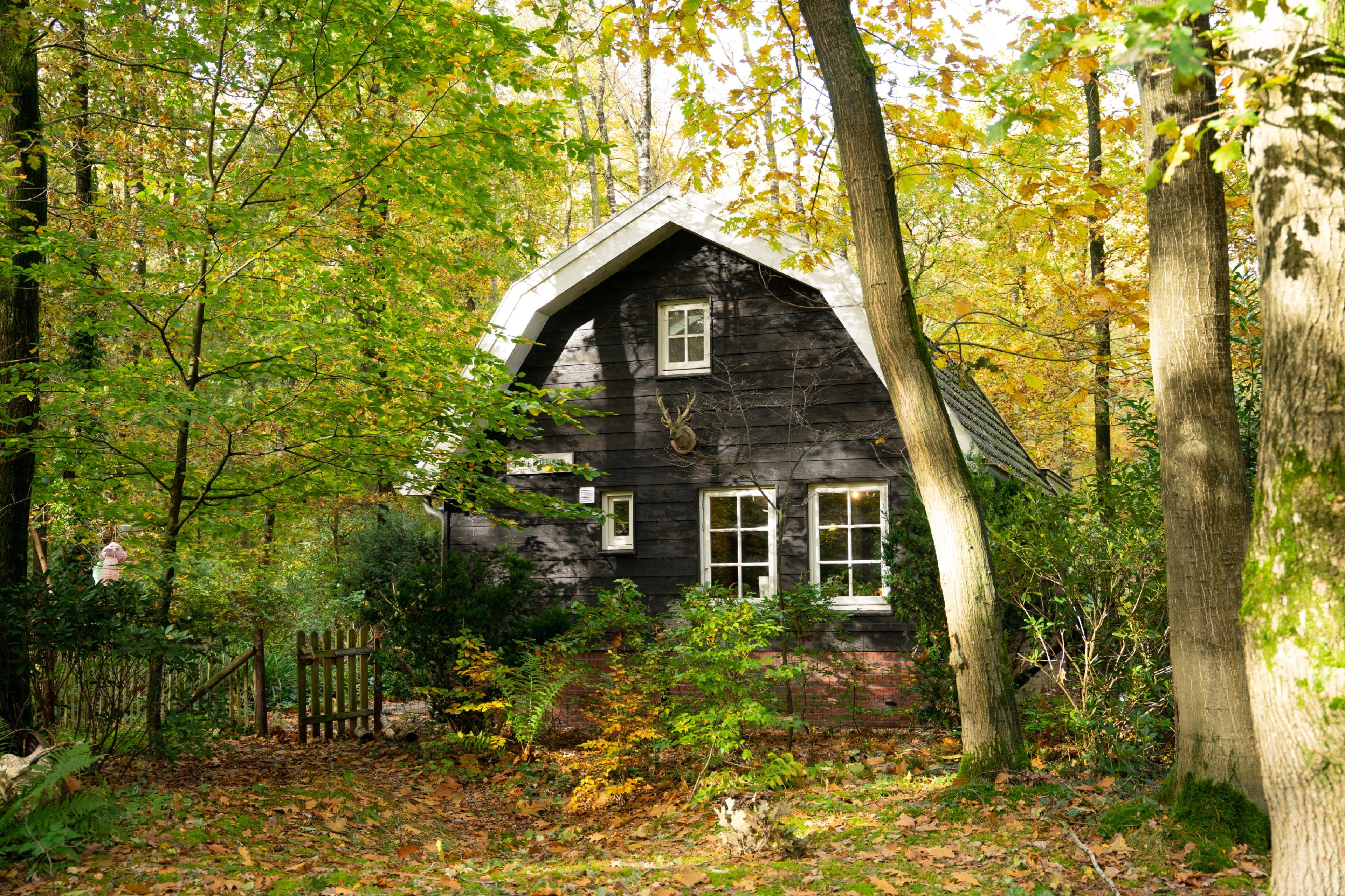 Natuurhuisje in Putten