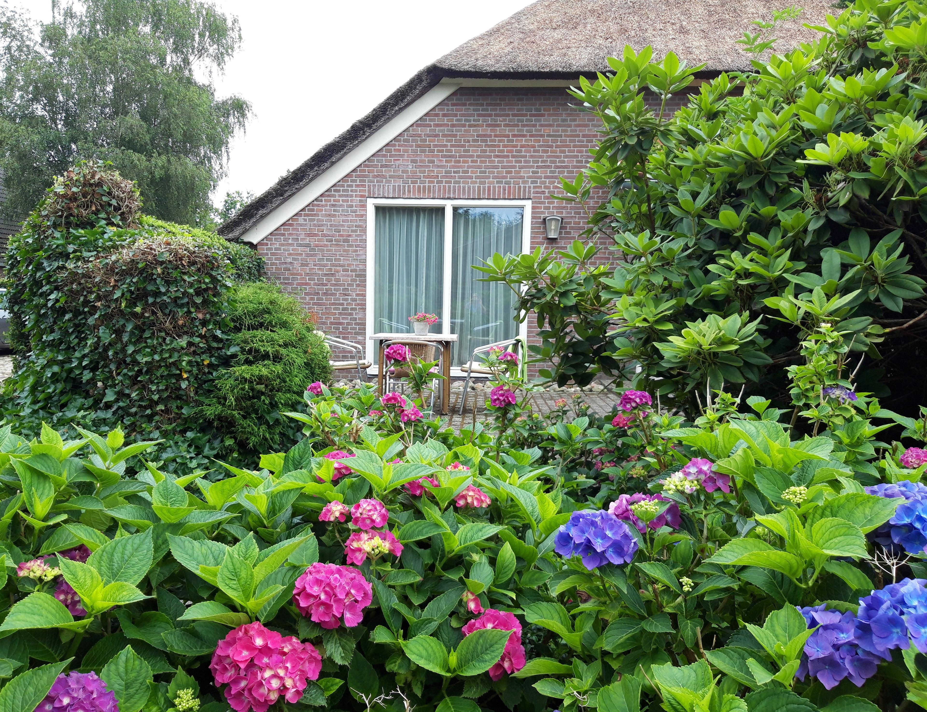 Nature house in Dwingeloo