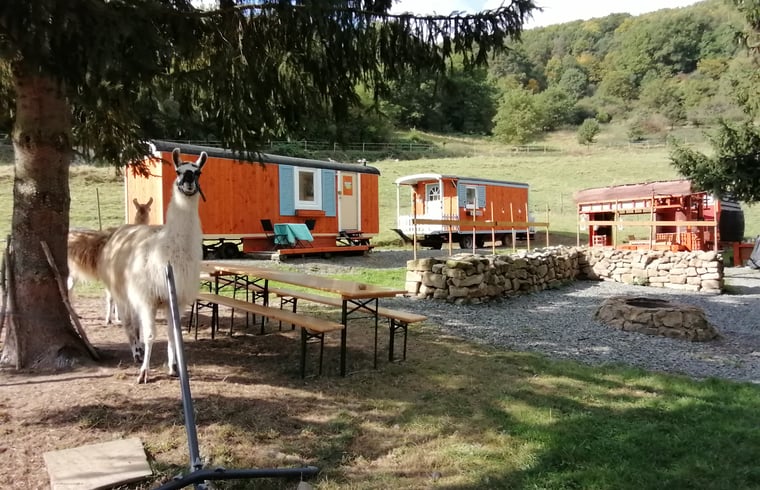 Cabin in Adenbach — foto 2