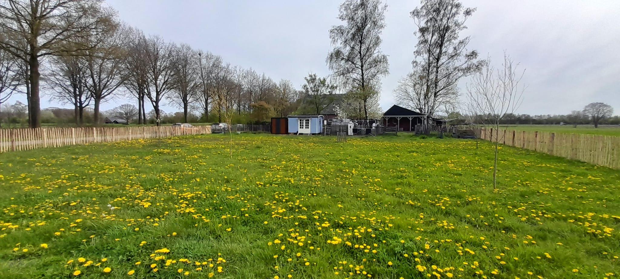 Maison nature à Westendorp