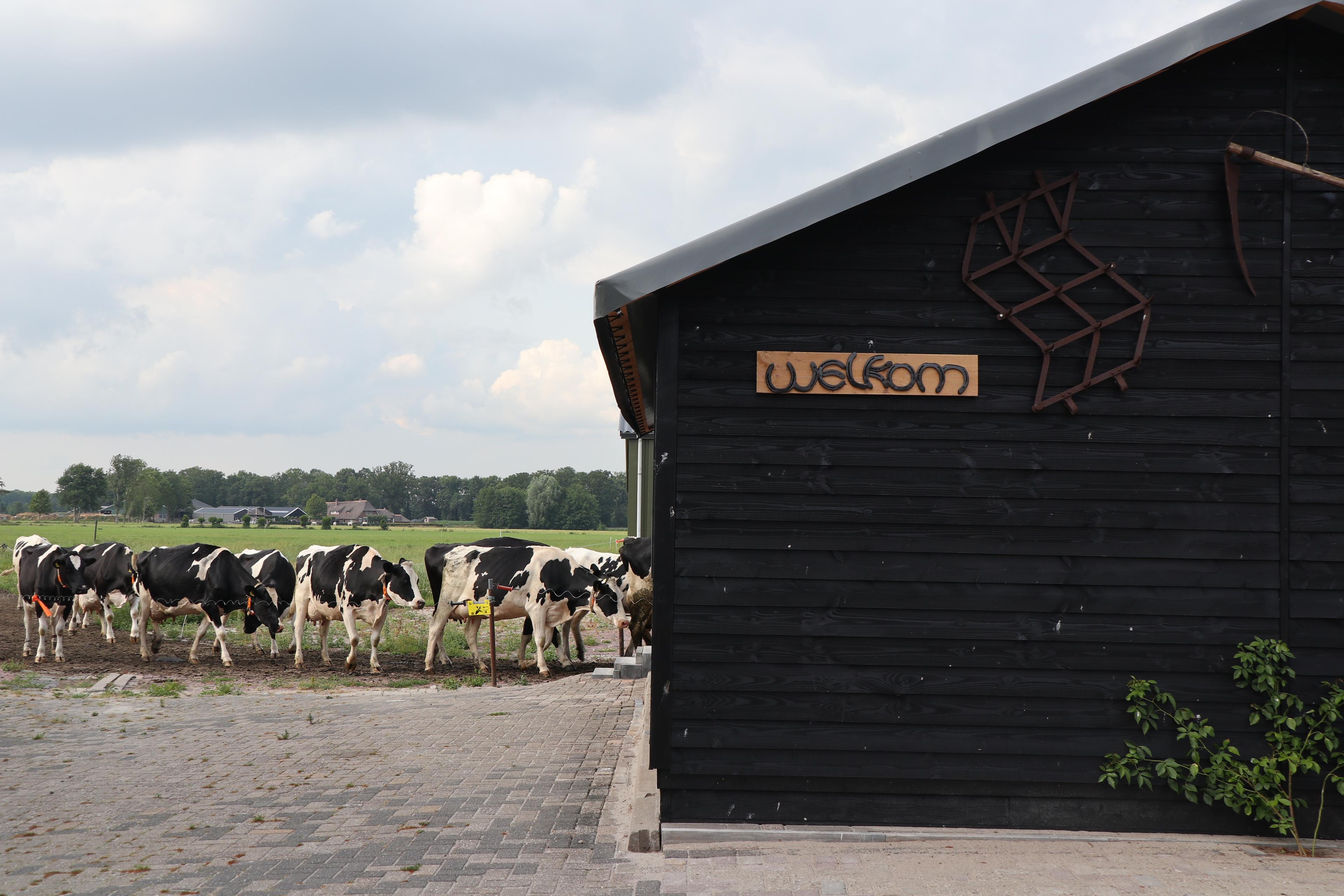 Maison nature à Achterveld