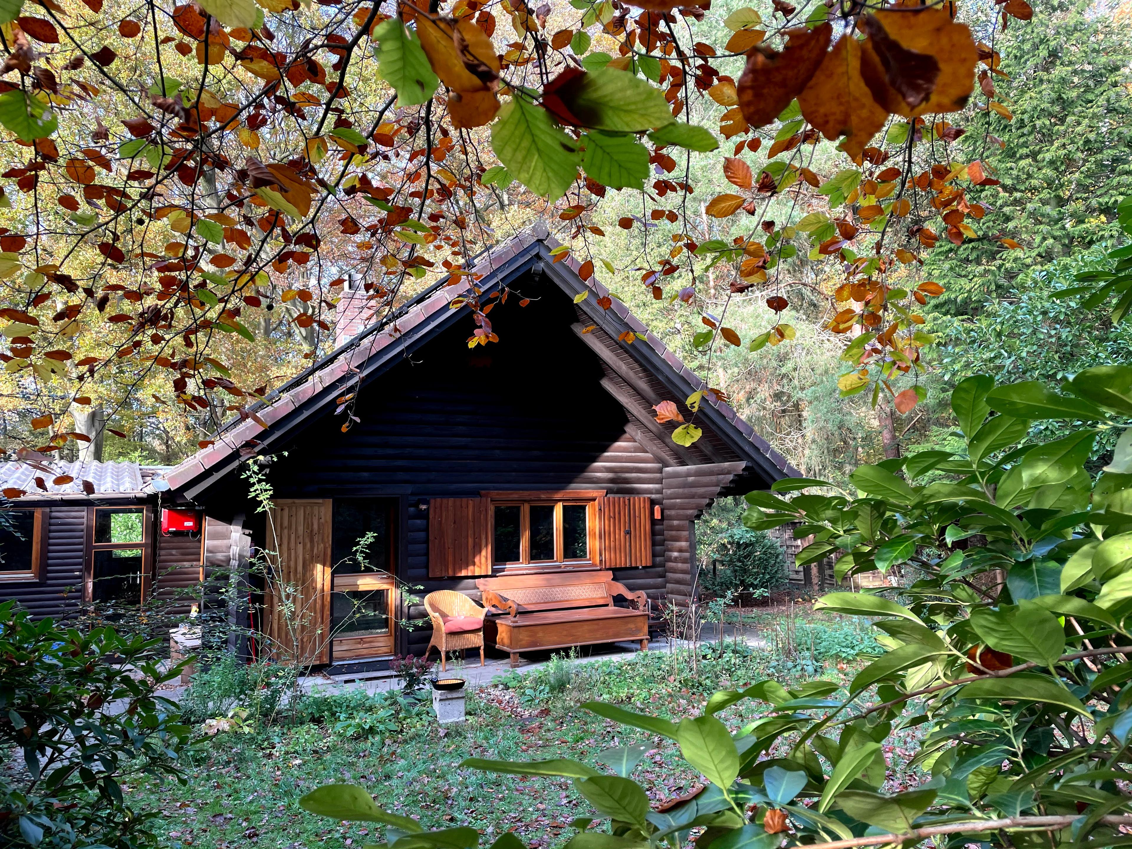 Maison nature à Vorden