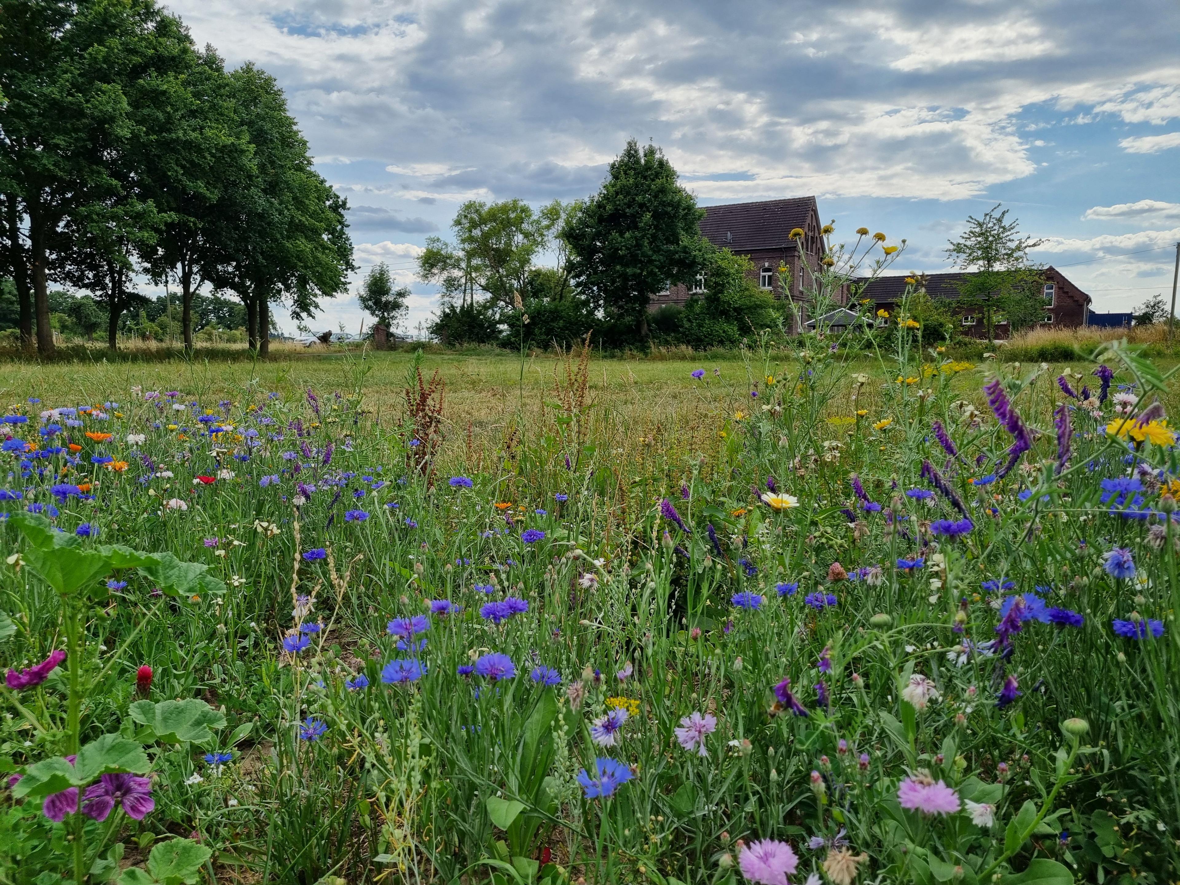 Maison nature à Kevelaer