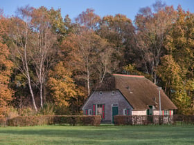 Naturhäuschen in Den Ham