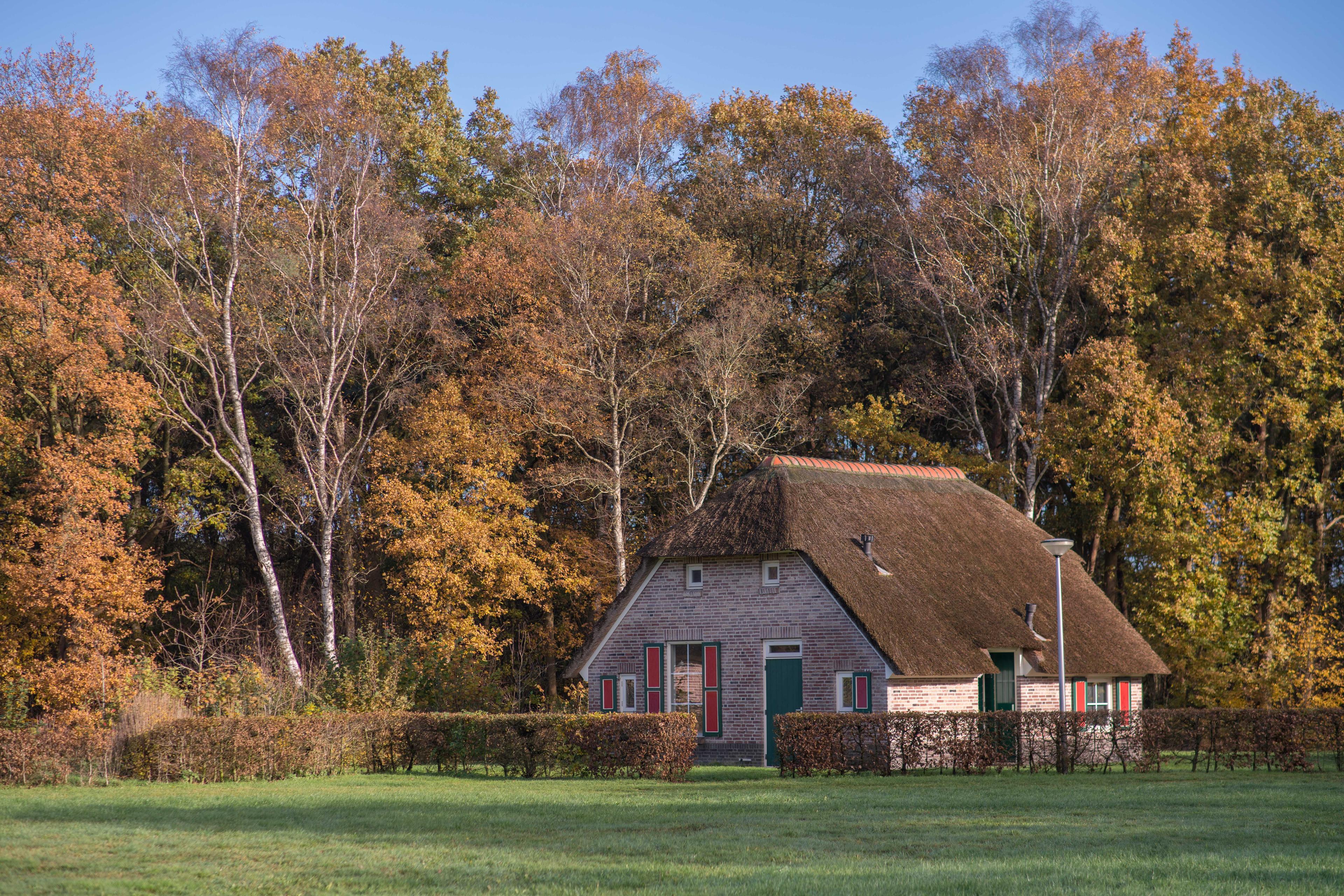 Maison nature à Den Ham
