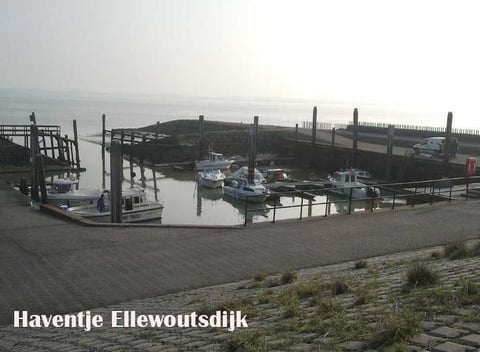 Natuurhuisje in Ellewoutsdijk - thumbnail: 55: 55
