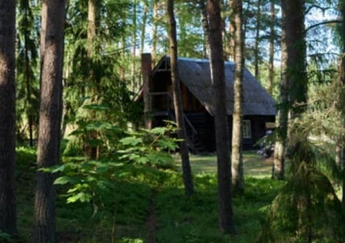 Nature house in Breda