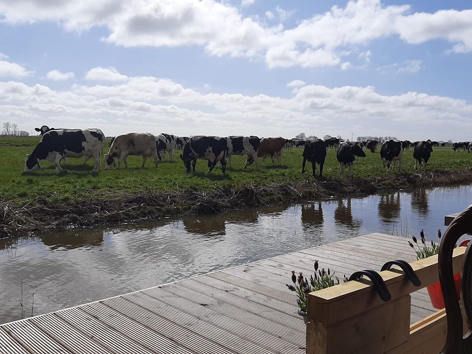 Natuurhuisje in Hitzum