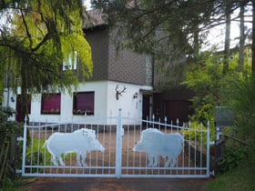 Maison nature à Stadtkyll