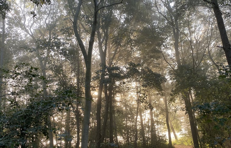 Tiny house in Vrouwenpolder — foto 2