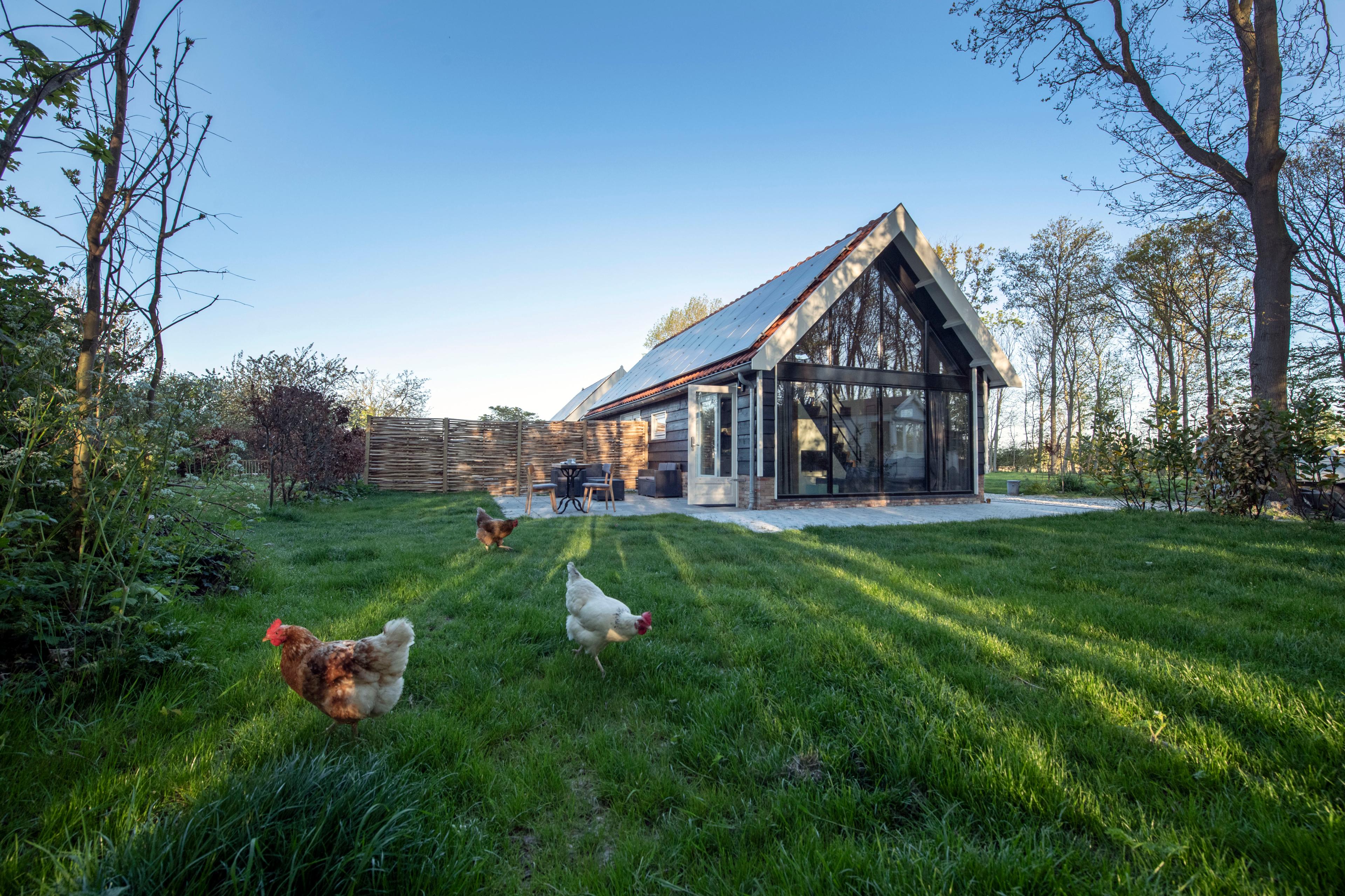 Maison nature à Biggekerke