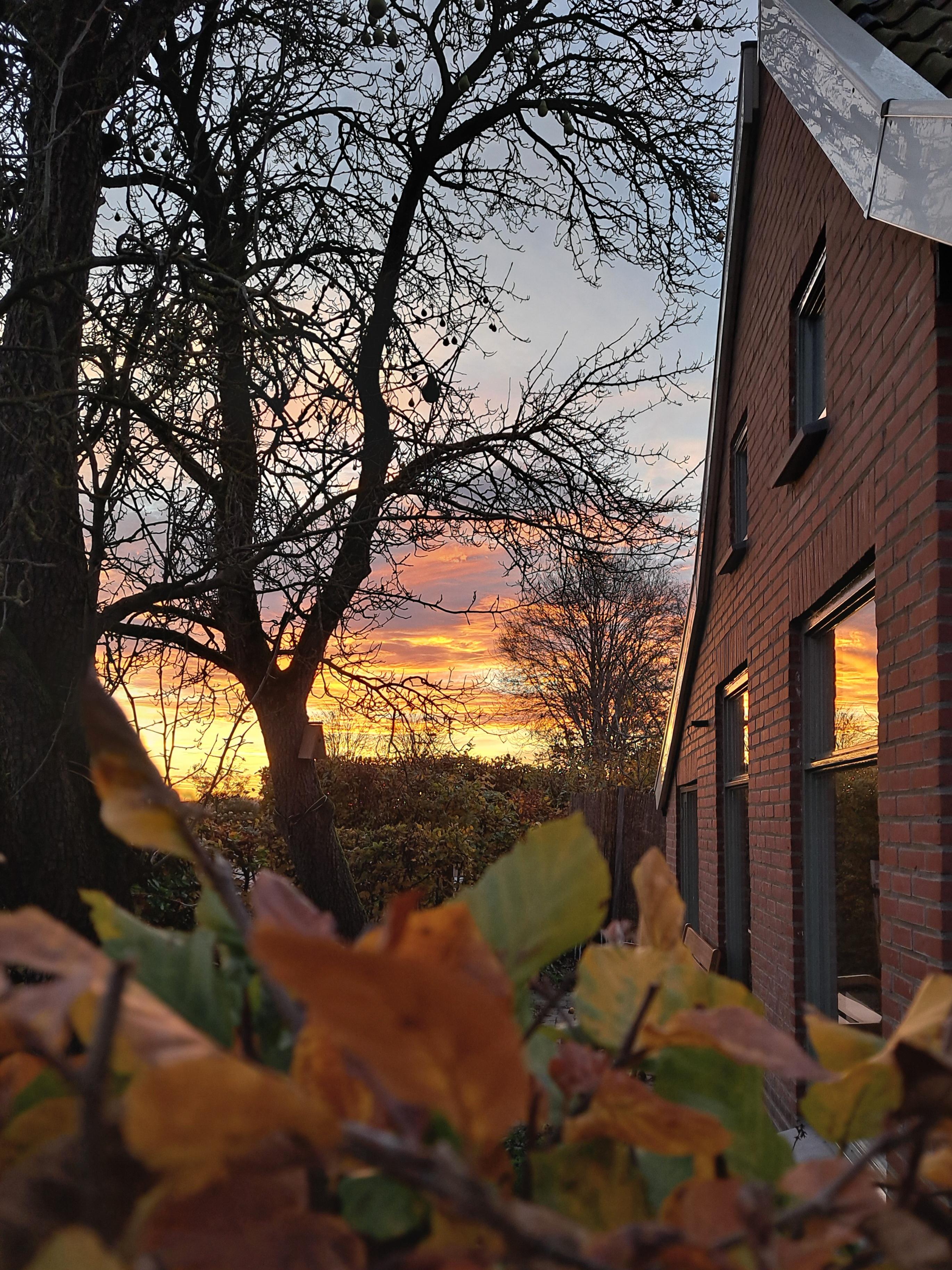 Nature house in Oostwold (gem. Oldambt)