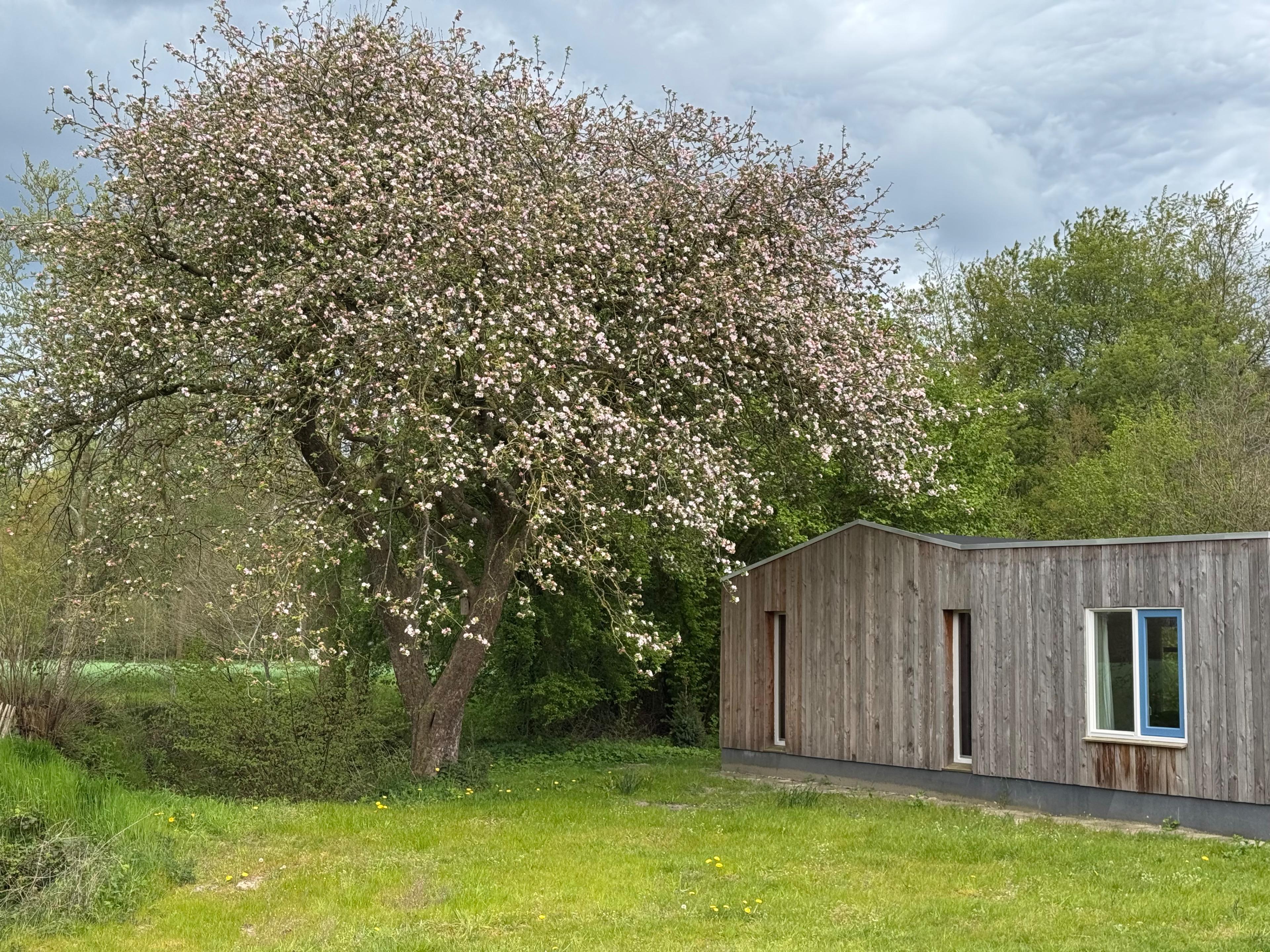 Nature house in Emst