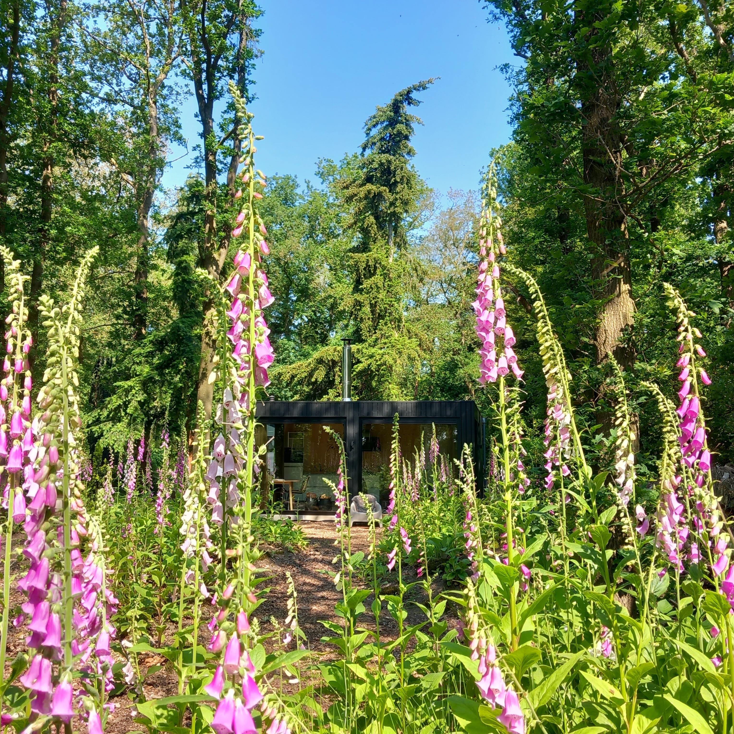 Maison nature à Drijber