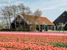 Maison nature à Burgerbrug