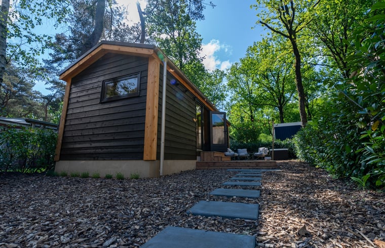 Tiny house in Zuidwolde — foto 1