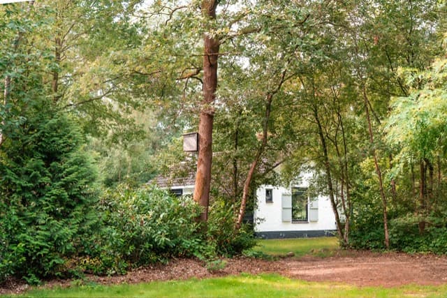 Natuurhuisje in Gasselte
