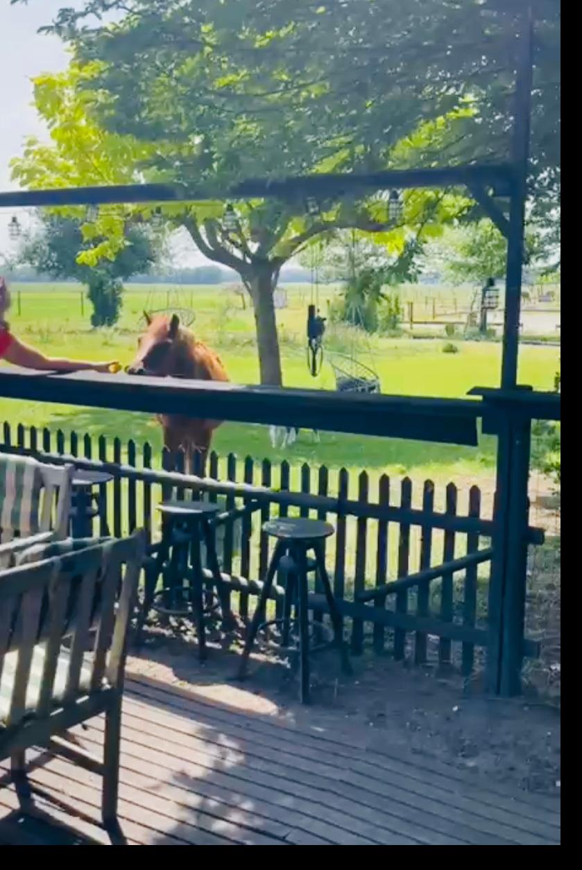 Maison nature à Zuidveld