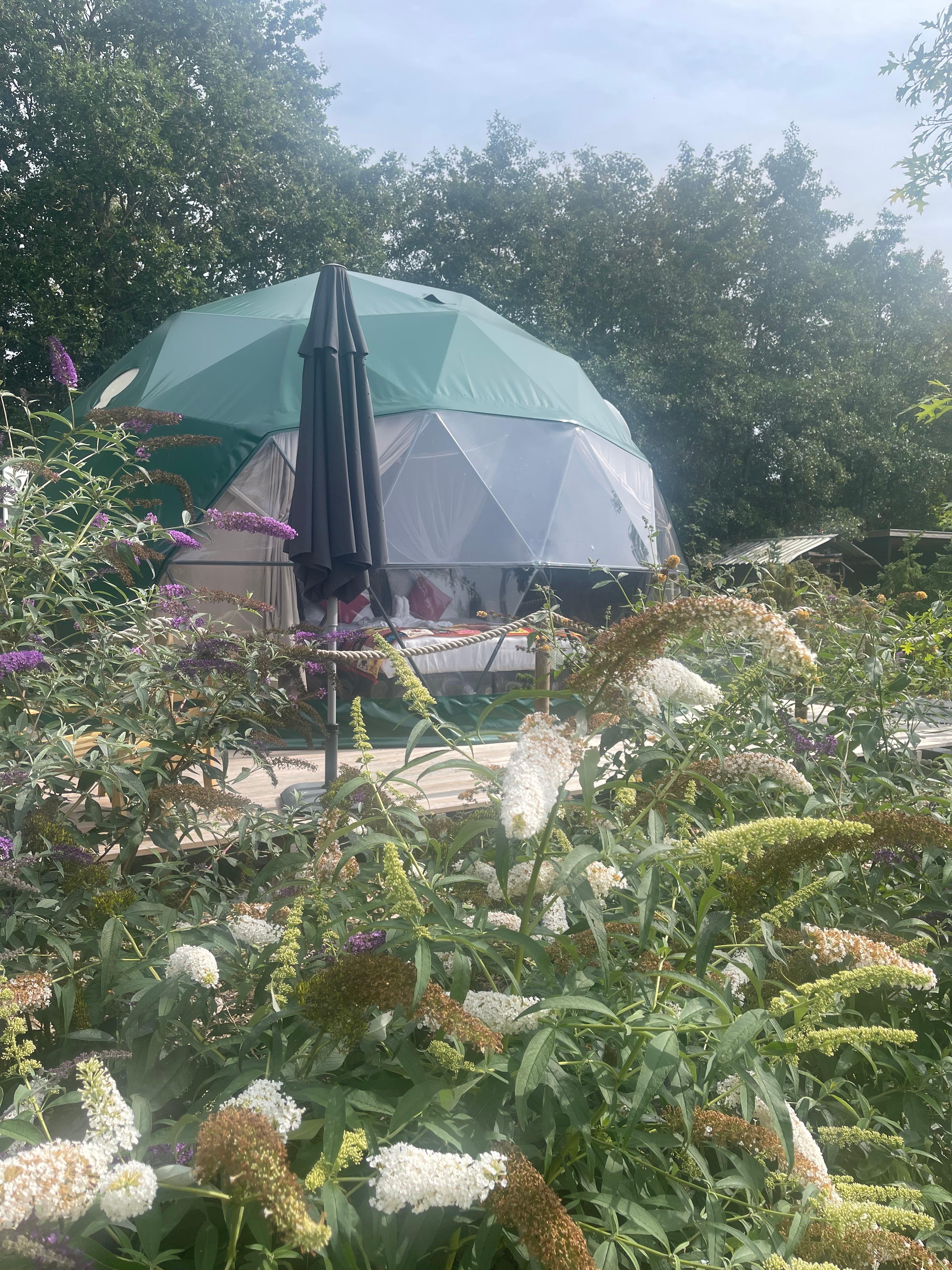 Maison nature à Boelenslaan