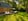 Nature house in Holten