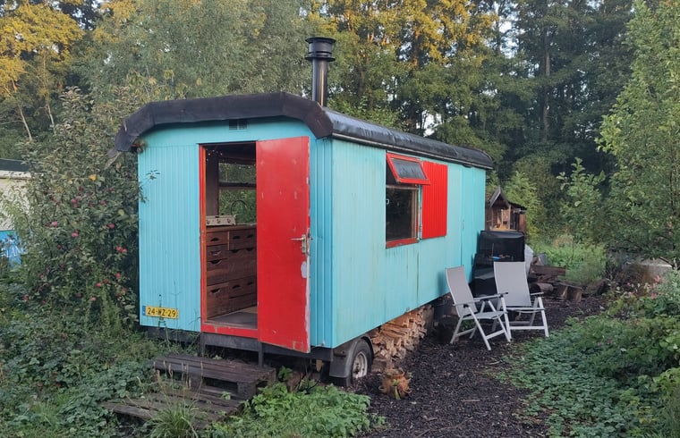 Natuurhuisje in Beilen