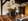 Nature house in Raalte