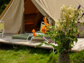 Maison nature à Lochem