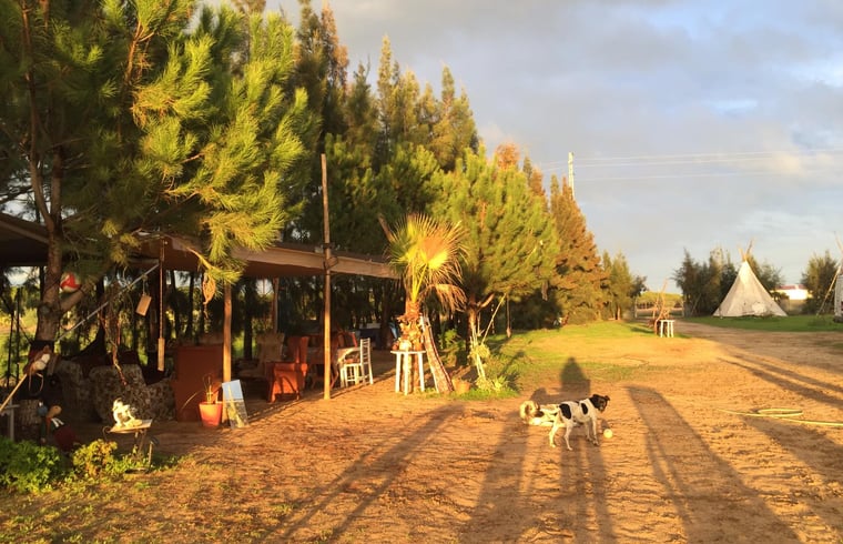 Boerderij in Almonte — foto 2