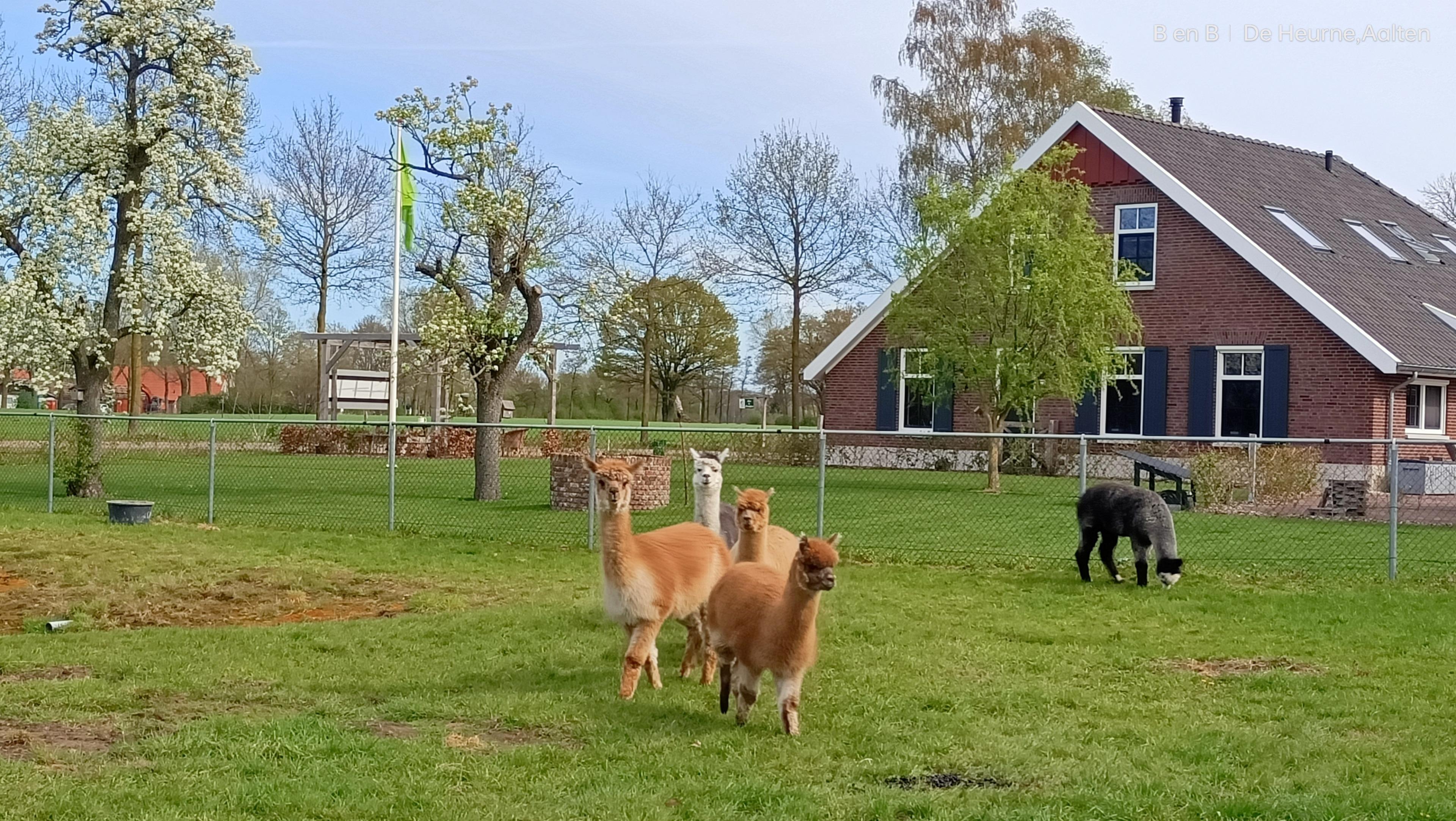 Nature house in De Heurne