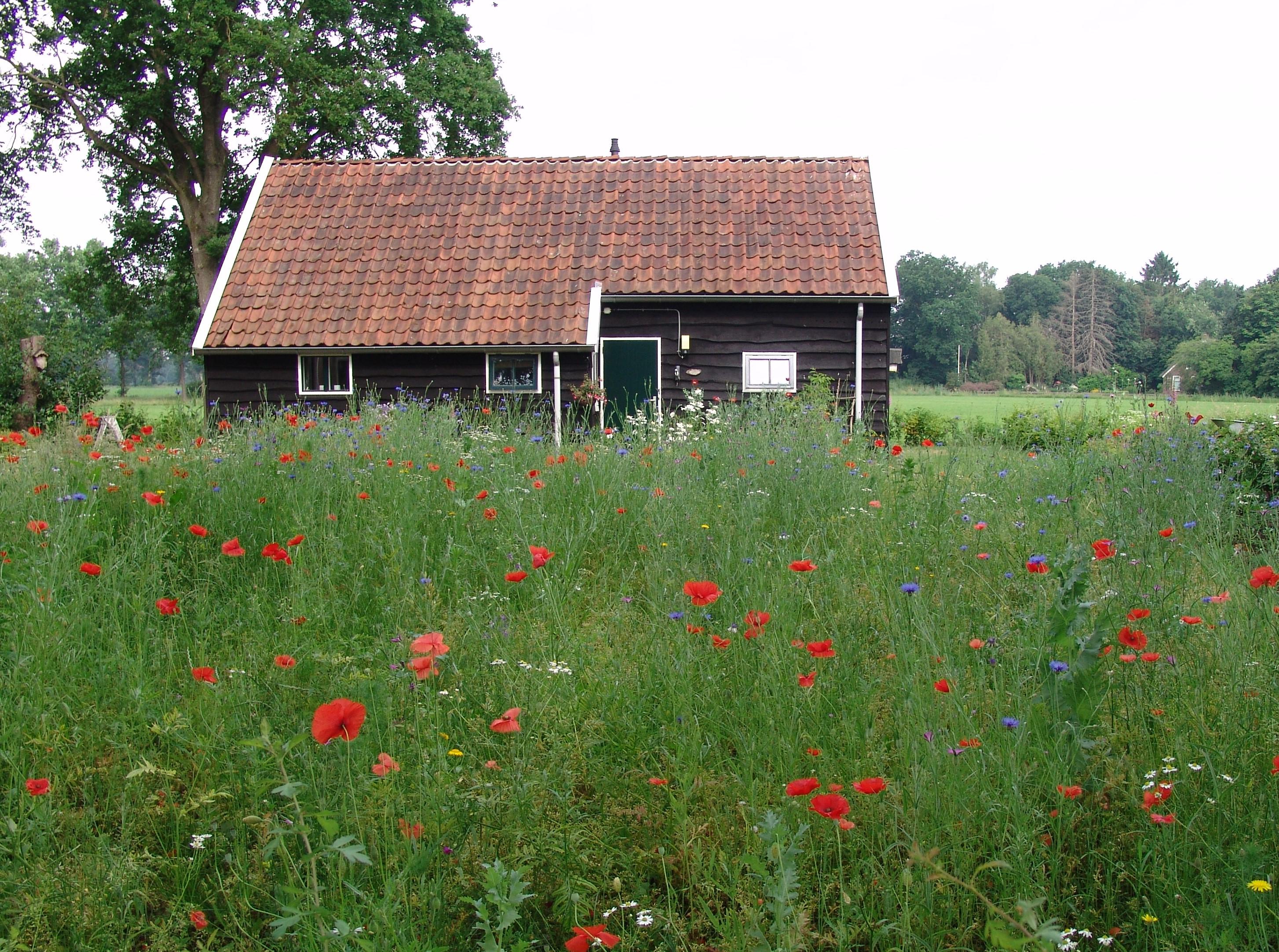 Natuurhuisje in Dwingeloo