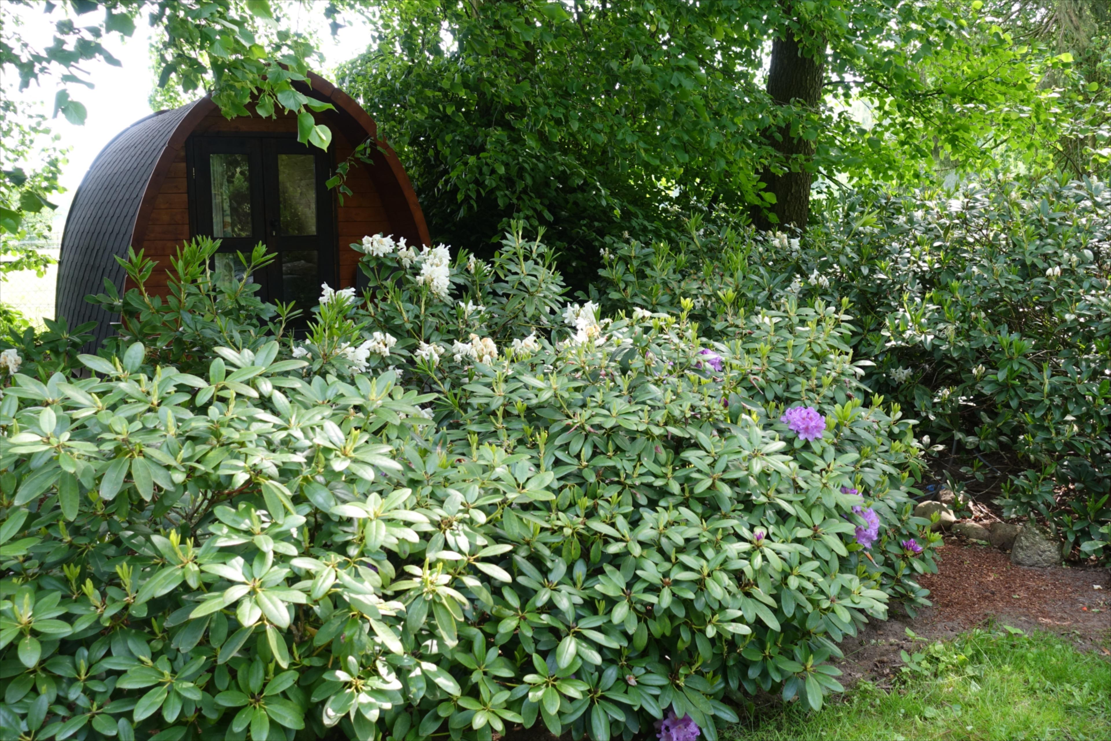 Maison nature à Overdinkel