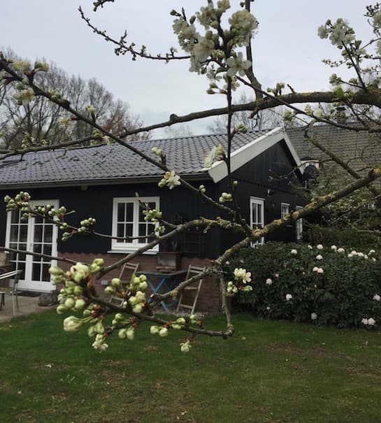 Nature house in Barchem