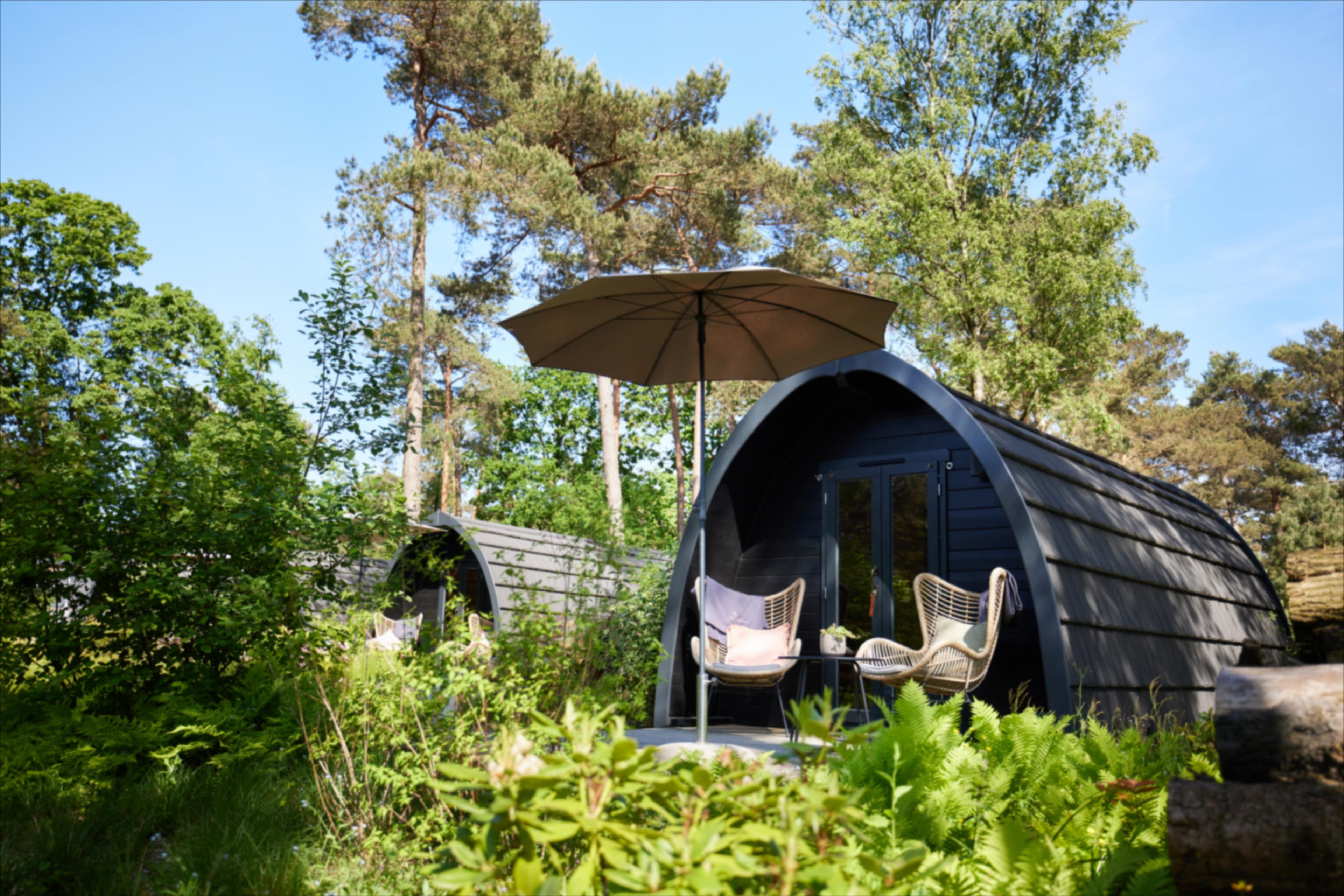 Nature house in Oisterwijk