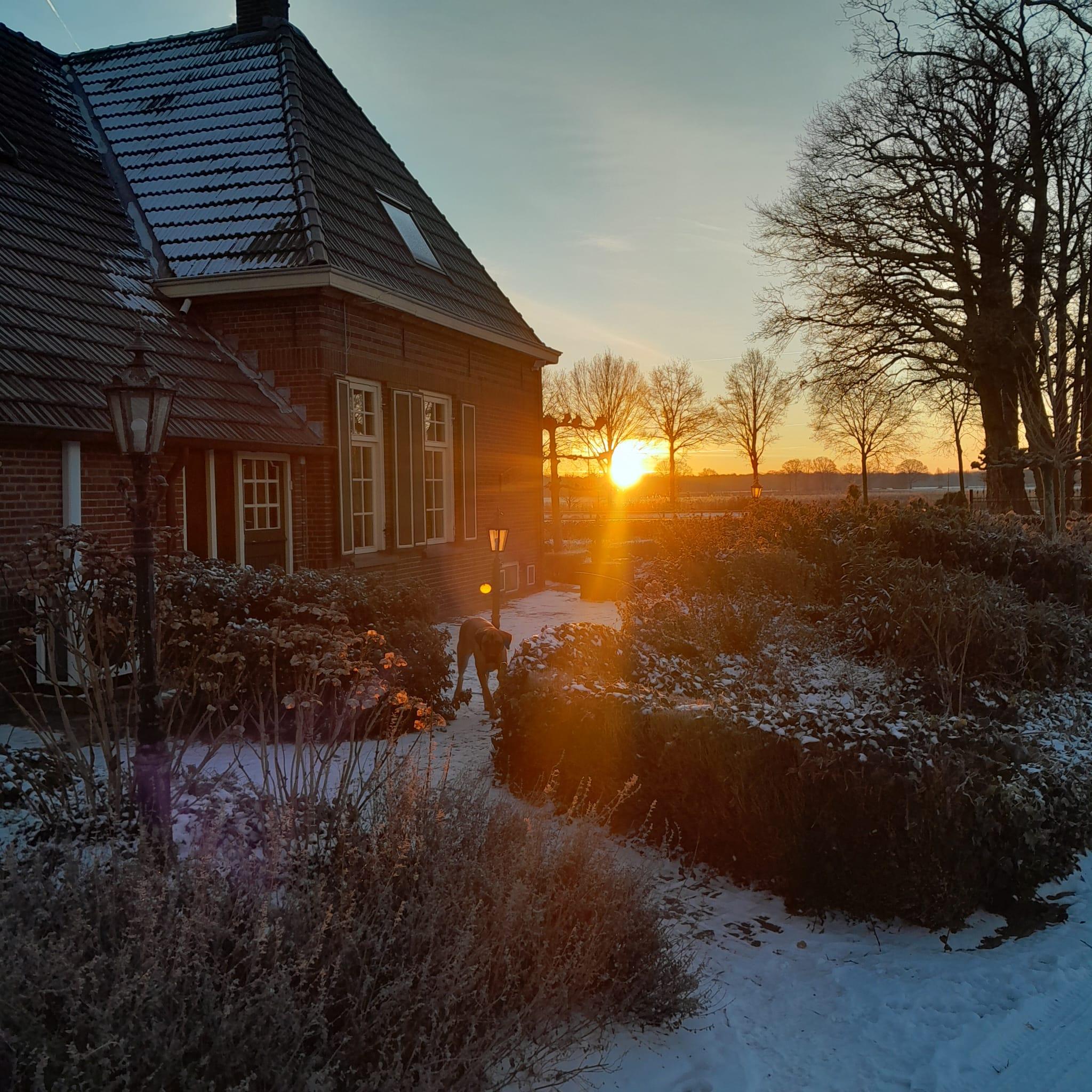 Maison nature à Gelselaar