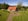 Nature house in Losser
