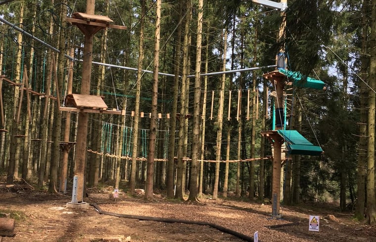 Vakantiehuis in Fraiture/Vielsalm — foto 3