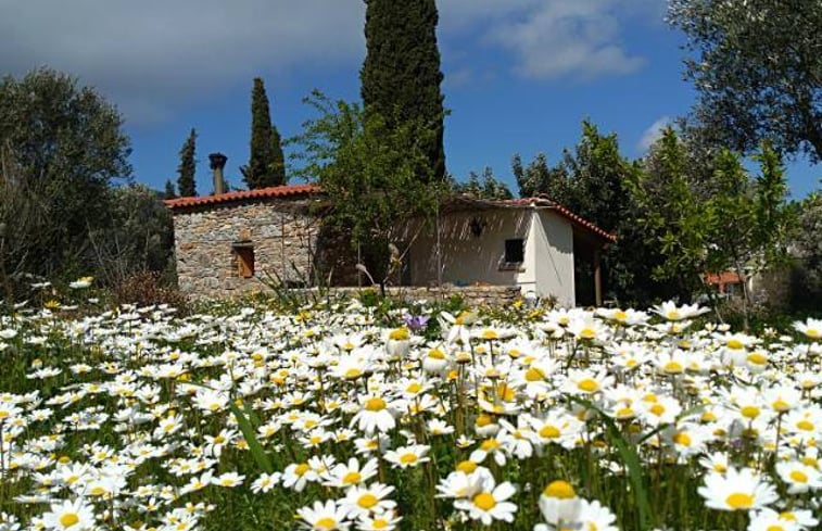 Maison nature dans Votso Vlamari Samos- image: 1