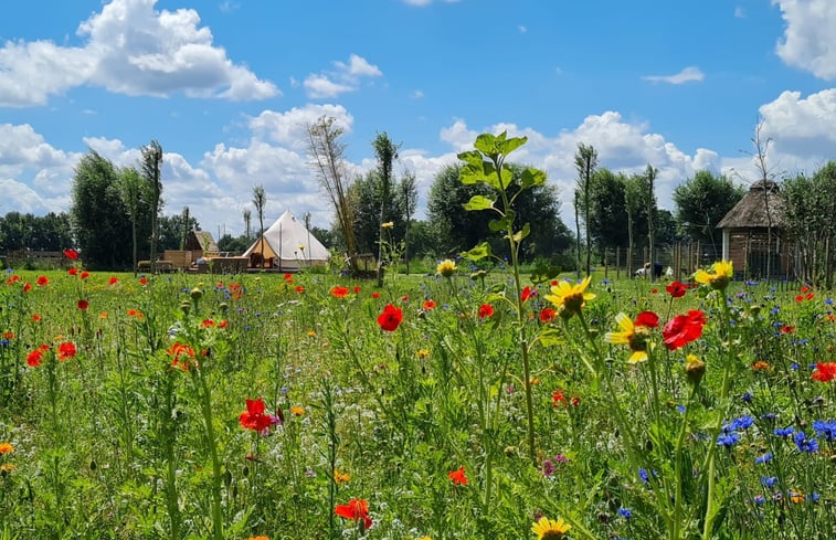 Natuurhuisje in Erp