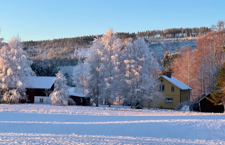 Vakantiehuis in Ekshärad — foto 3