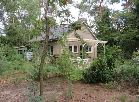 Nature house in Luijksgestel - thumbnail: 1: 1