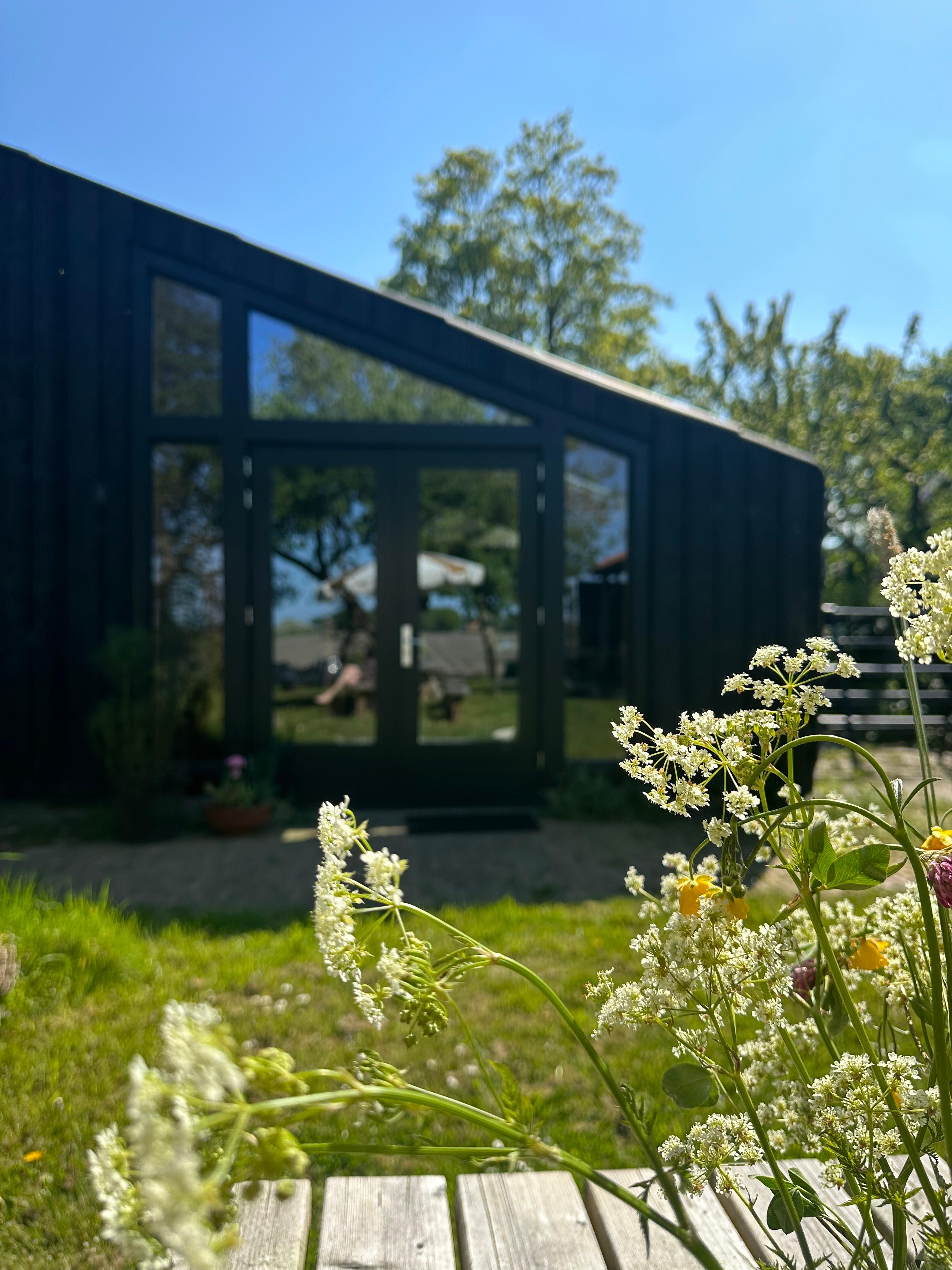 Maison nature à Pieterburen