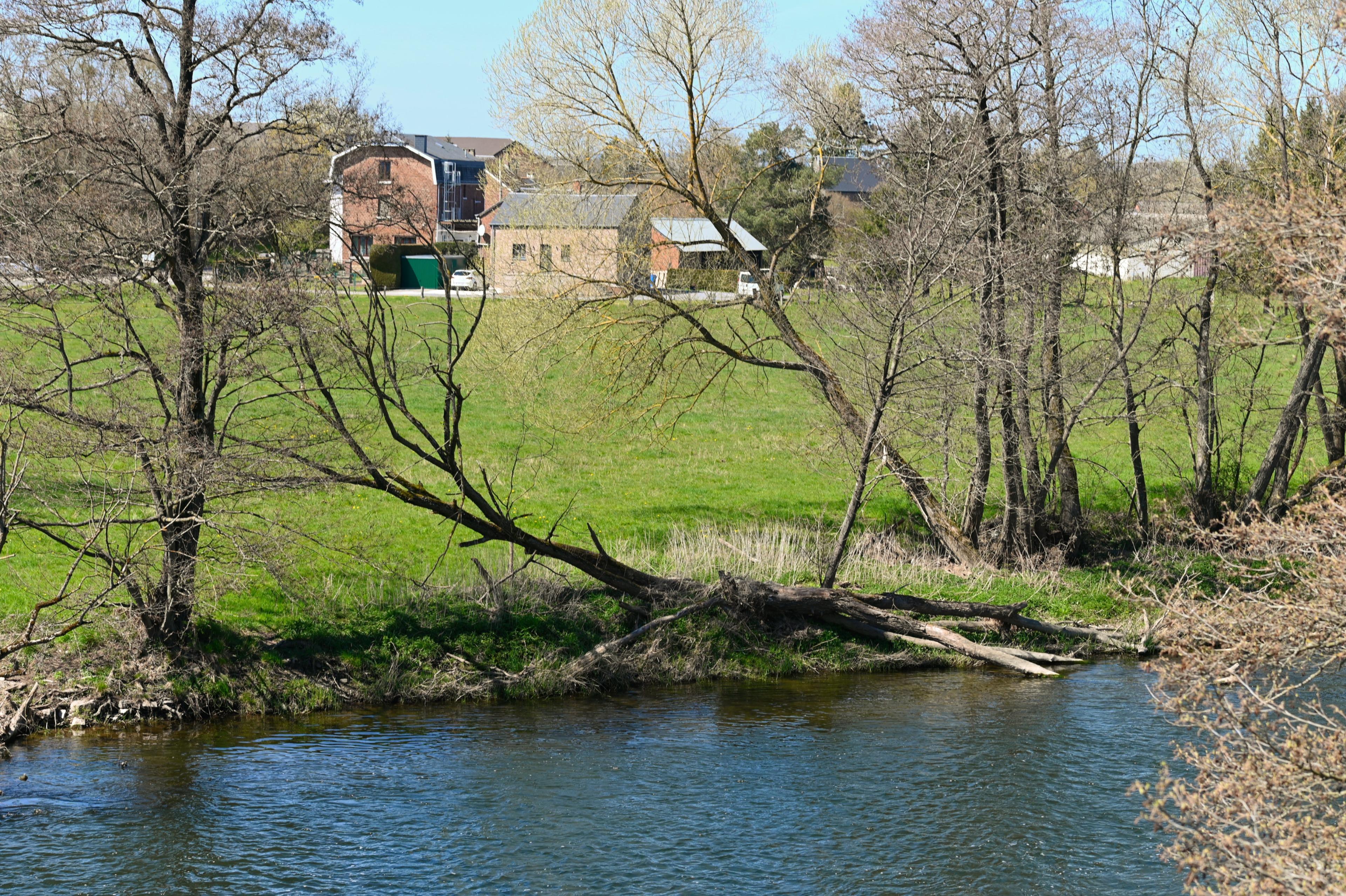 Maison nature à Hotton