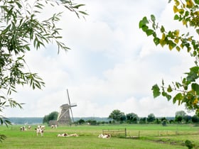 Natuurhuisje in Vreeland