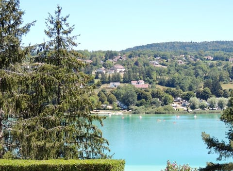 Natuurhuisje in Clairvaux les Lacs: 24